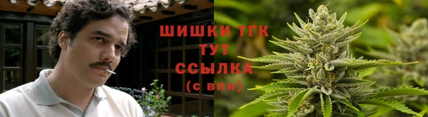 гидропоника Аркадак