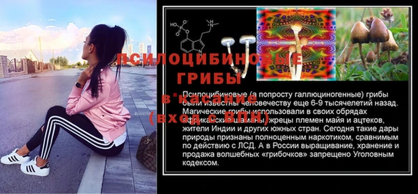 гидропоника Аркадак